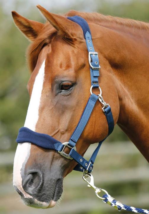 Actual product image Premier Equine Halter with fleece insert