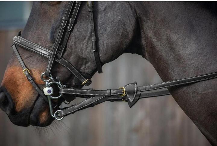 Produktbild Dy'on Gummizügel 1/2 mit 7 Festhaltern