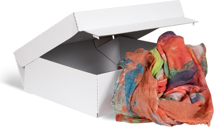 Image du produit Brieger Carton d'expédition Tex-Pac 44.5 x 37.9 x 8 cm, 1 pièce (0,5 x 45 x 94 cm, 1 x)