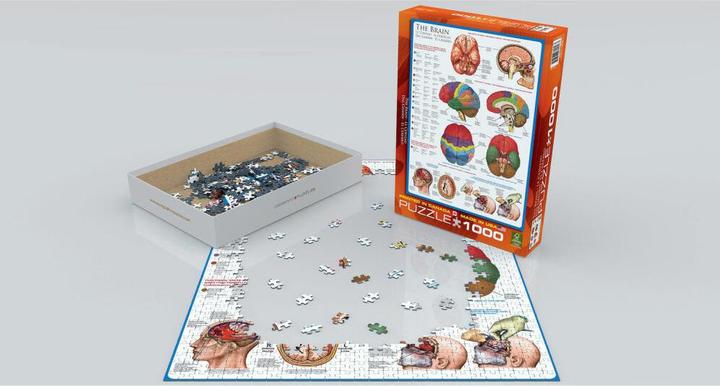 Produktbild Eurographics Das Gehirn (1000 Teile)