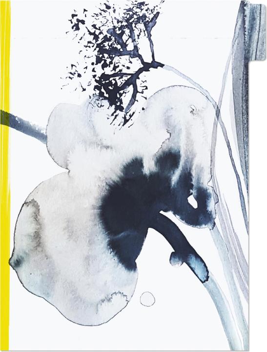 Actual product image Clairefontaine Inkebana, Set de 3 pochettes à onglets 22x31 cm, ass. - A motifs (22 x 31 cm)