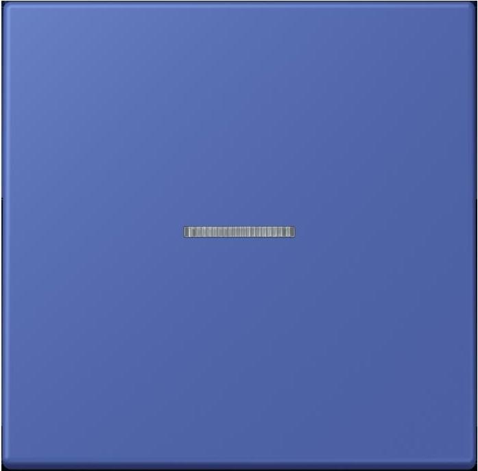 Actual product image JUNG Button