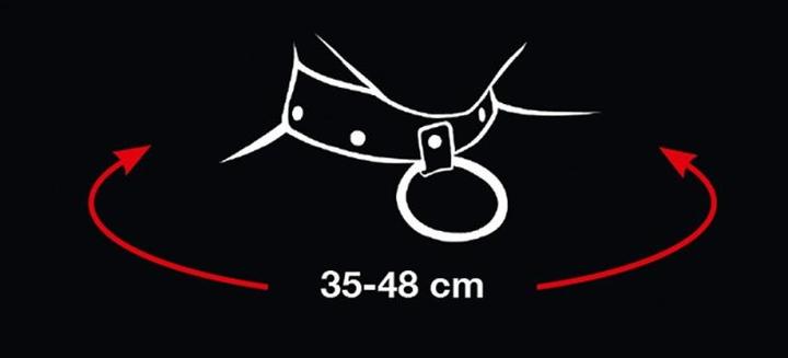 Actual product image Bad Kitty Collar