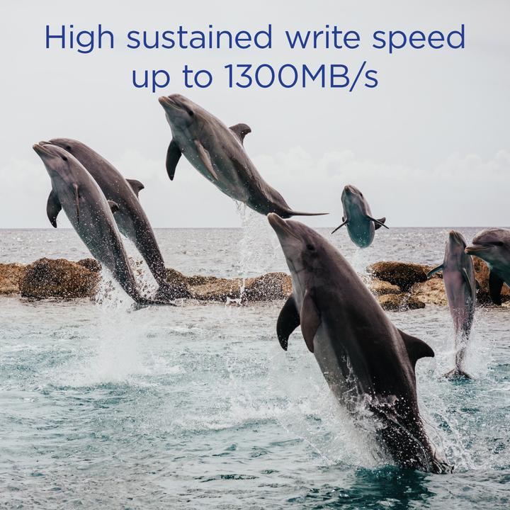 Actual product image 2TB UltimaPro X2 CFexpress Cinematic Silver Type B 2.0 Card (2048 GB, CFexpress type B)