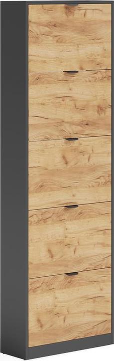 Produktbild Vicco Schuhkipper Gizmo, Goldkraft Eiche/Anthrazit, 59 x 181.1 cm mit 5 Fächern (22 x 59 x 181.10 cm)