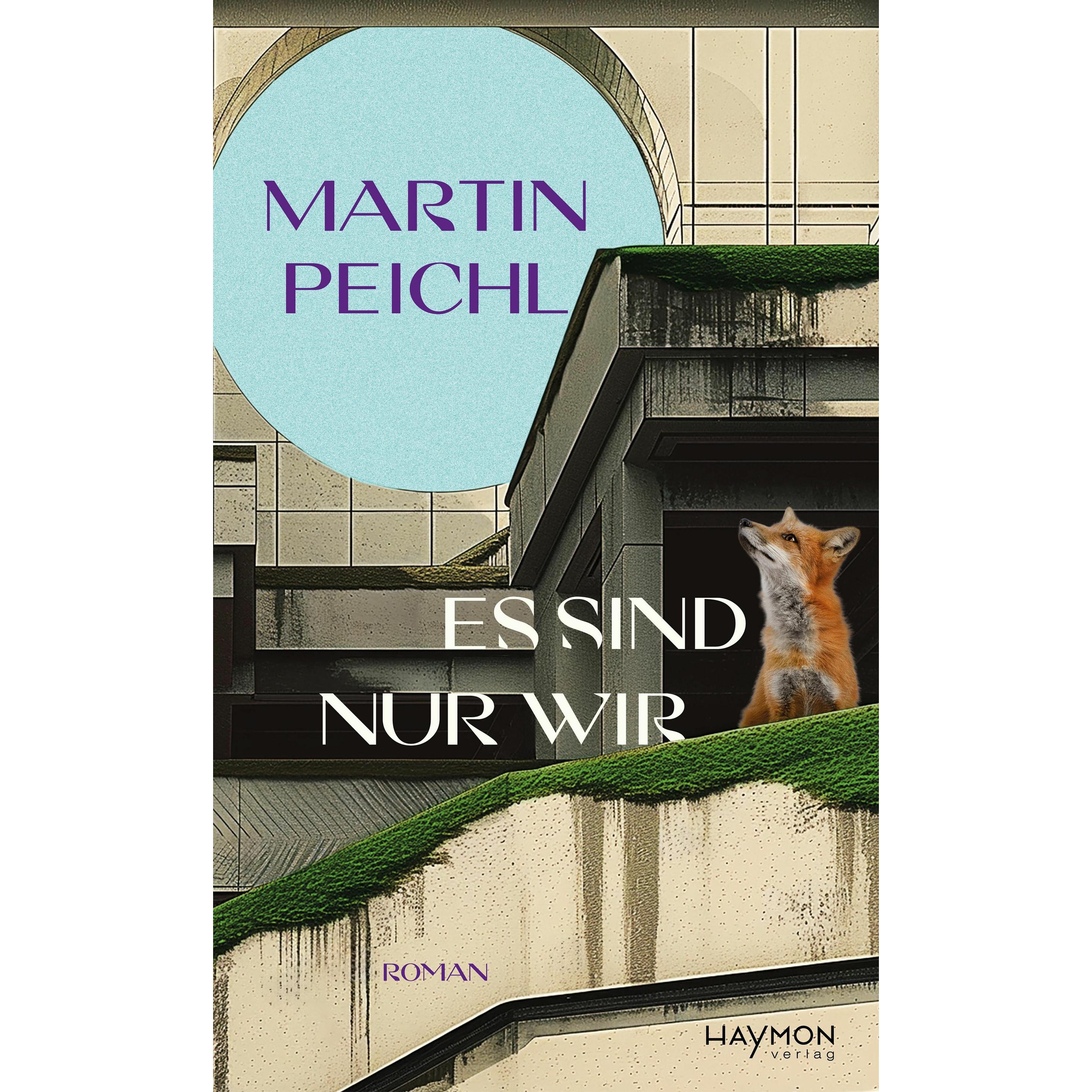 Es sind nur wir, Belletristik von Martin Peichl