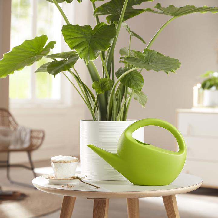 Produktbild Scheurich Smilla (3 l)