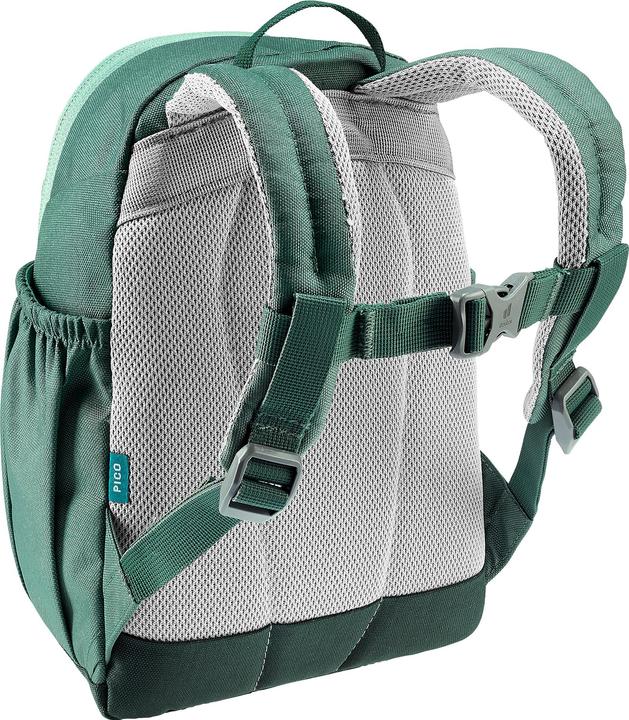 Actual product image Deuter Pico (5 l)