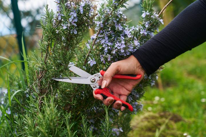 Produktbild Felco 456 Universalschere