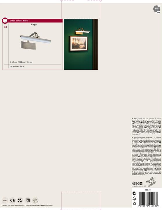 Image du produit Paulmann Lampe à tableau Renan (450 lm)