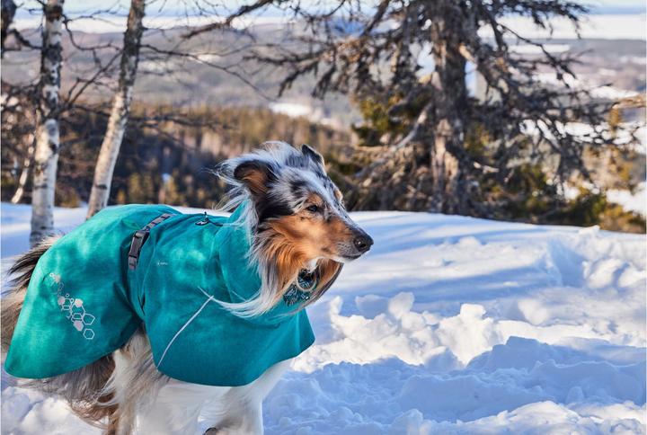 Immagine prodotto Hurtta Monsoon V2 Eco verde mackintosh, 30 cm (30, Cappotto impermeabile per cani)