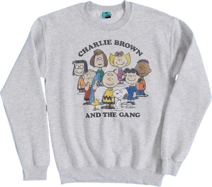Produktbild Peanuts Charlie And The Gang Sweatshirt (M)