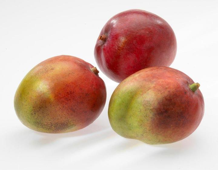 Actual product image GEFU Cutter for mango fruit, 13580