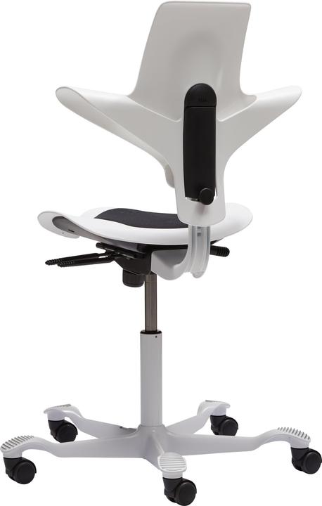 HAG Capisco Puls 8010