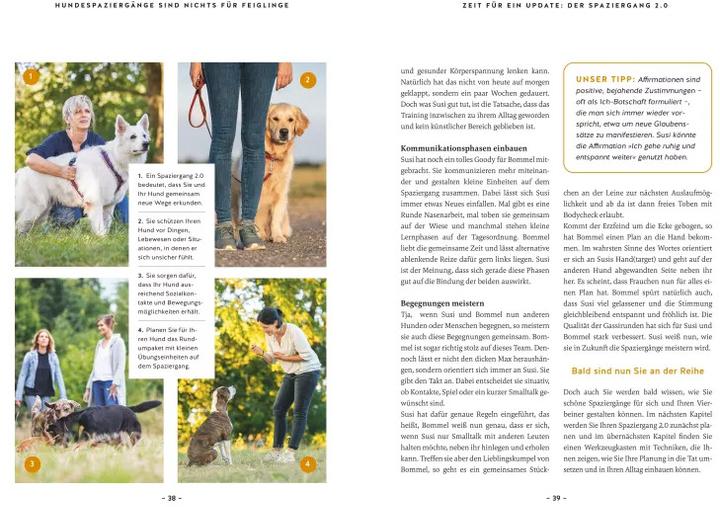 Produktbild Gelassen Gassi gehen (Deutsch, Kristina Ziemer-Falke, Jörg Ziemer, 2023)