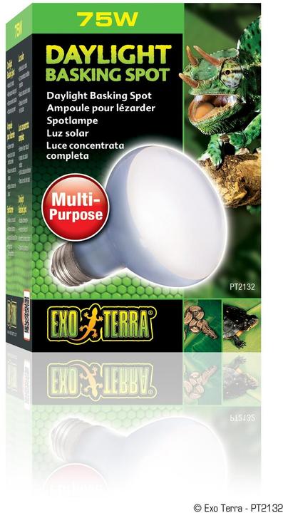 Actual product image Exo Terra daylight basking spot (UVA)