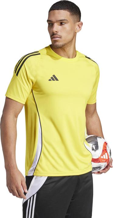 Actual product image adidas TIRO24 JSY (3XL)