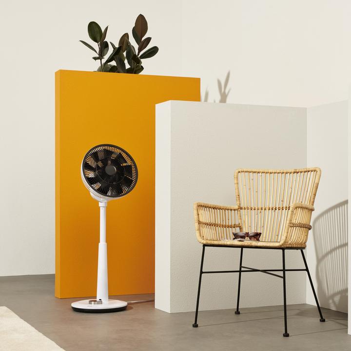 Image du produit Duux Whisper (50 dB)