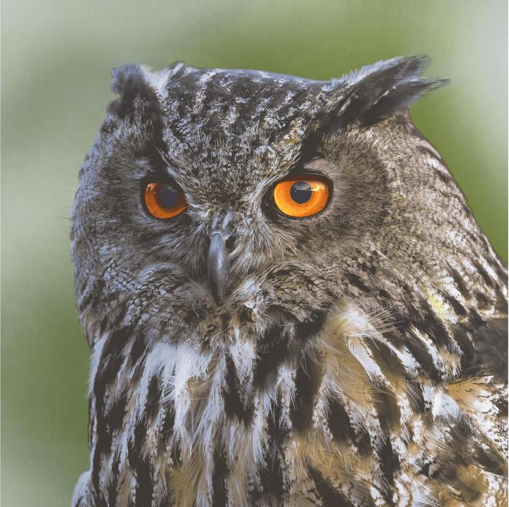 Grau, Weiss, Dunkelgrau