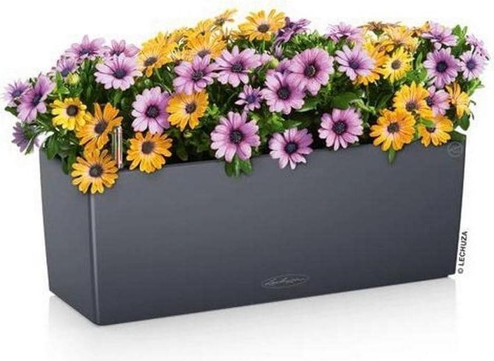 Productafbeelding Lechuza Balconera Color 50 (50 x 19 x 19 cm)