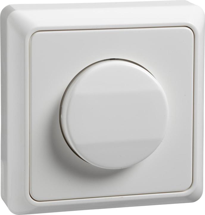 Actual product image ELSO Renovation surface-mounted rocker switch 516214 pure white