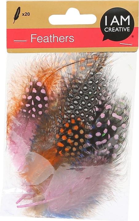 Actual product image I Am Creative Decorative feathers