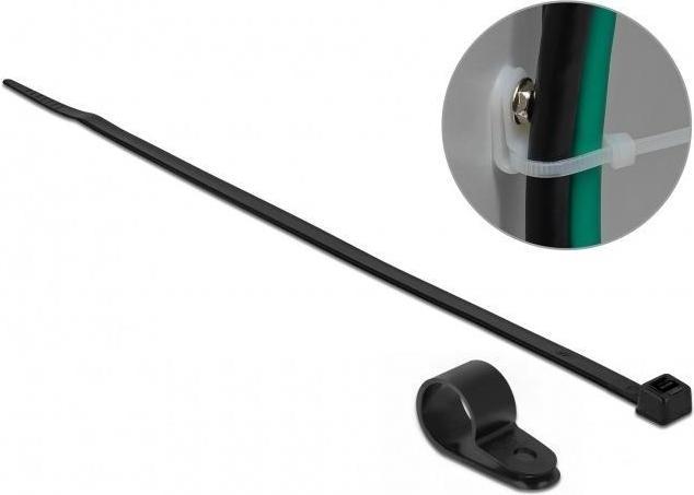 Image du produit Delock Kit d'attaches de câble - 30 cm - noir (300 mm, 10 pcs)