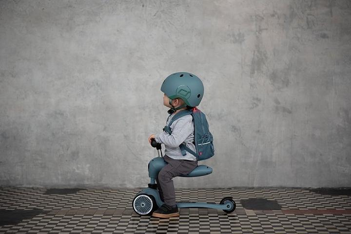 Actual product image Scoot and Ride Ash (45 - 51 cm)