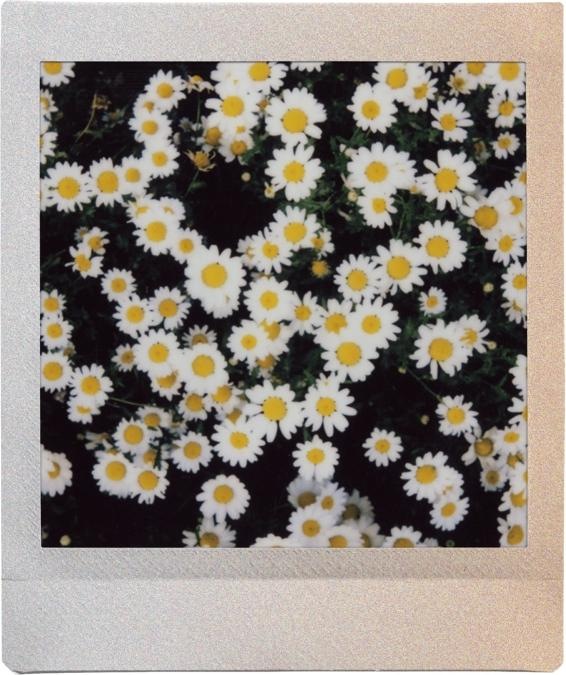 Immagine prodotto Fujifilm instax Square Film Sunset Rainbow (Quadrato delle imposte SQ10, Quadrato delle imposte SQ6, Quadrato delle imposte SQ20)