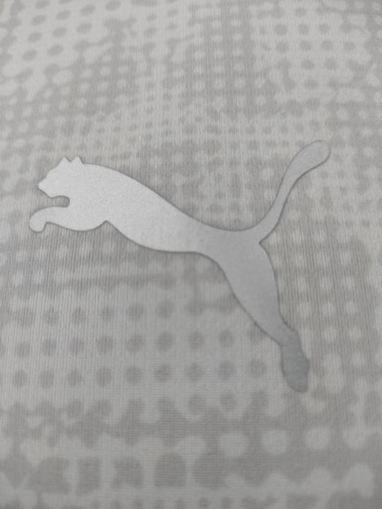 Actual product image Puma teamCUP Training Jersey (M)