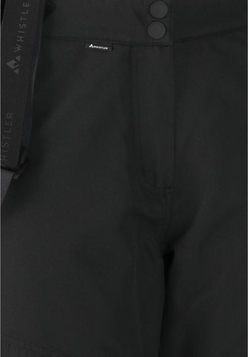 Actual product image Whistler Drizzle Pro (46)