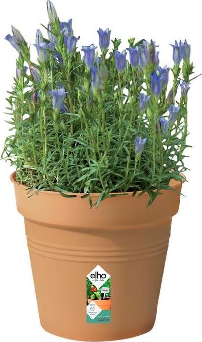 Produktbild Elho Green Basic (17 x 16 cm)