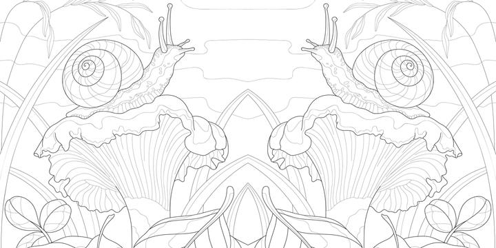 Produktbild Faszinierende Pilze