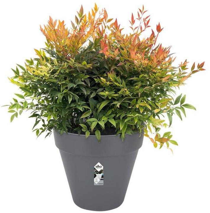 Image du produit Elho Loft Urban (69 x 62.50 cm)