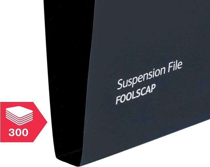 Immagine prodotto Rexel 3000081 (25x)