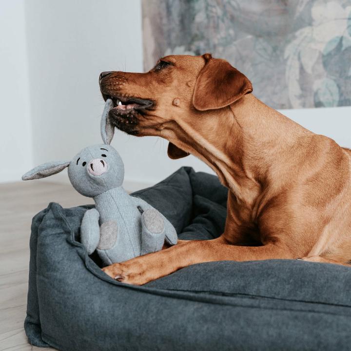 Immagine prodotto Hunter Legetøj Marle Gris 35 cm - (69897) (Gioco da masticare per cani)