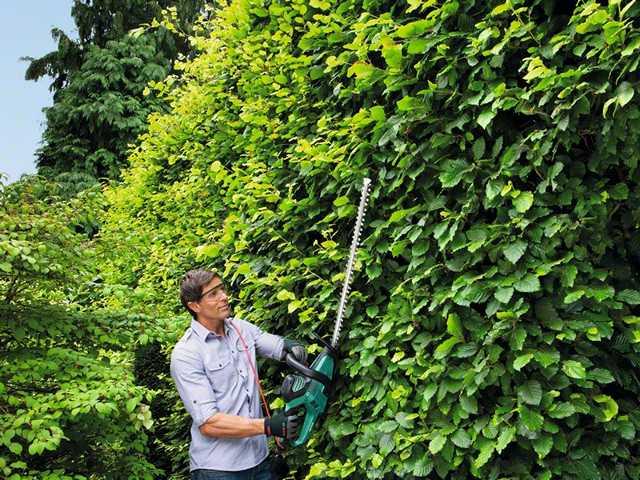 Produktbild Bosch Home & Garden Ahs 65-34