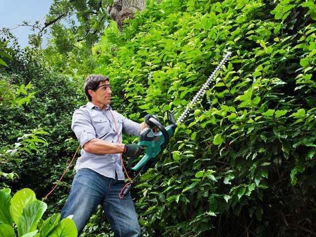 Produktbild Bosch Home & Garden Ahs 65-34