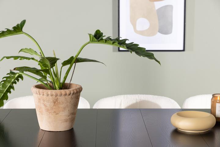 Actual product image Venture Home Edina (MDF)