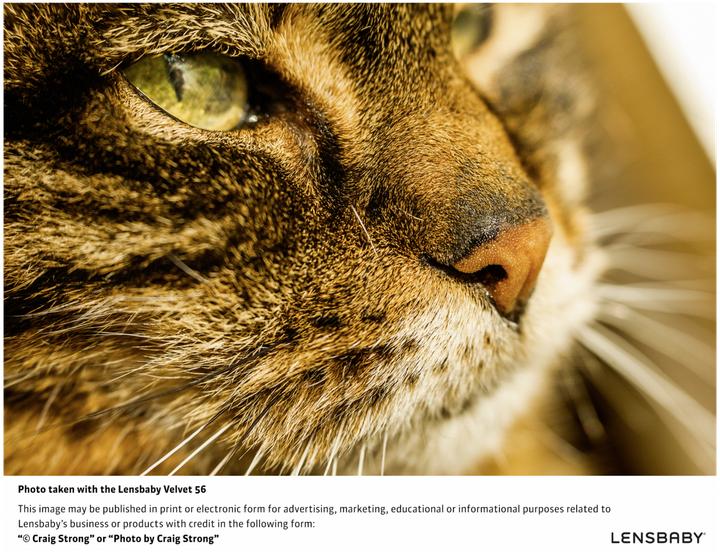 Image du produit Lensbaby Velours 56 Nikon Z (Canon EF, APS-C / DX, Plein format)