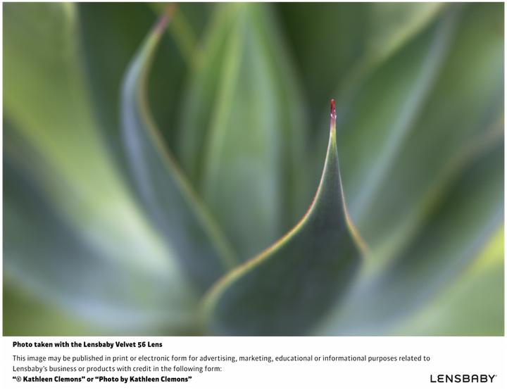 Image du produit Lensbaby Velours 56 Nikon Z (Canon EF, APS-C / DX, Plein format)