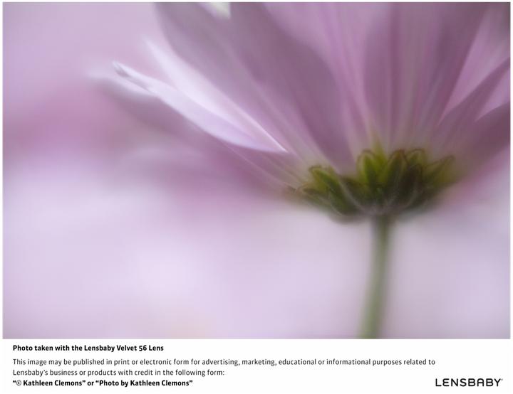 Image du produit Lensbaby Velours 56 Nikon Z (Canon EF, APS-C / DX, Plein format)