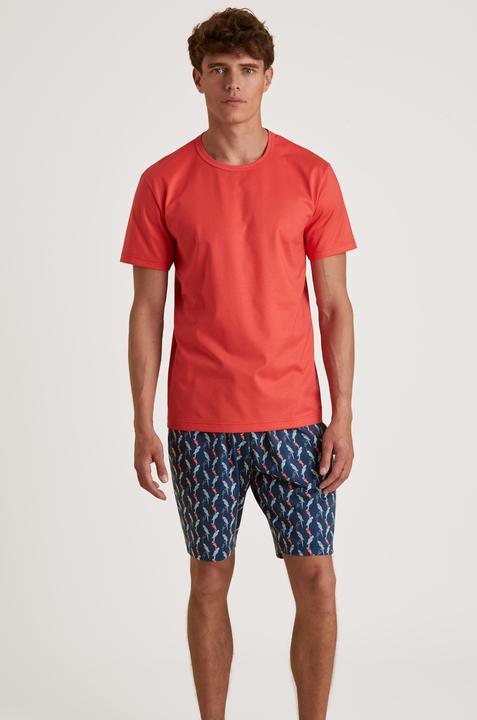 Immagine prodotto Calida Rmx Sleep Journey (M)