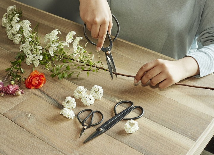 Actual product image Kikkerland Shears Set