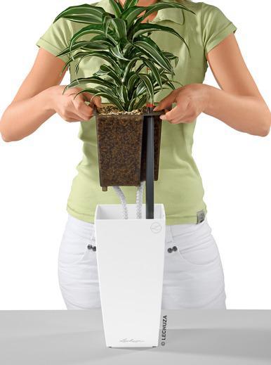 Produktbild Lechuza Maxi Cubi (14 cm)