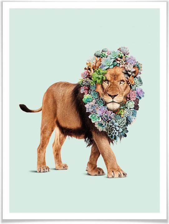 Immagine prodotto Trenddeko Sciolto - Leone Succulento (24 x 30 cm)