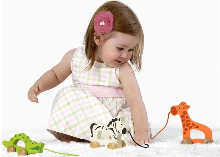 Actual product image Hape Pull-along giraffe