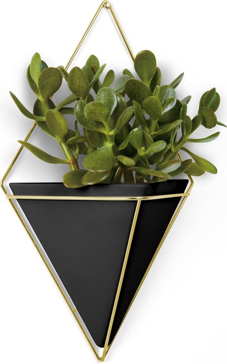 Produktbild Umbra Trigg (22.90 x 9.50 x 38.10 cm)