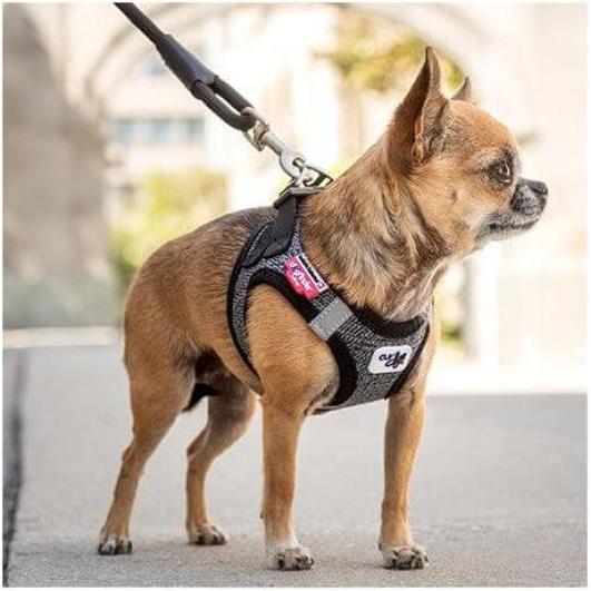 Thumbnail - Curli Stretch Comfort Leine Rot M (M, Hund, Hundesport), Halsband + Leine