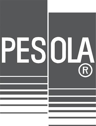 Actual product image Pesola MS500